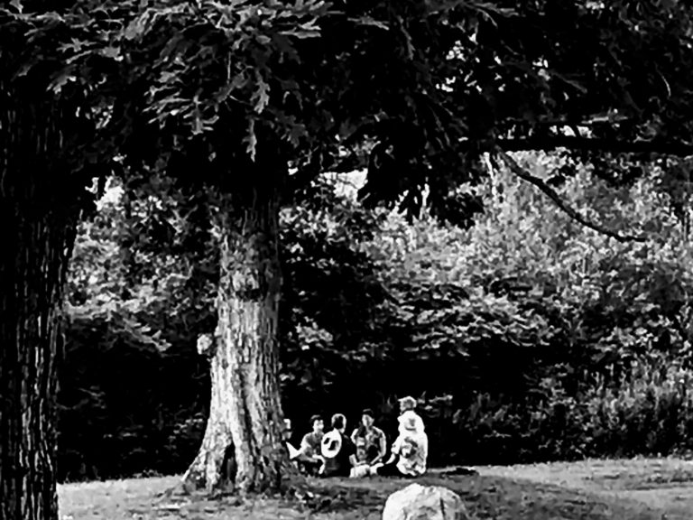 Under the Bodhi Tree